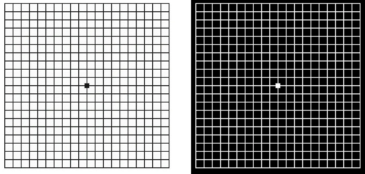 osoba wykonująca domowy test wzroku, test Amslera