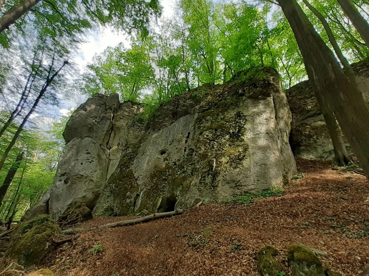 Zamek Ostrężnik ruiny