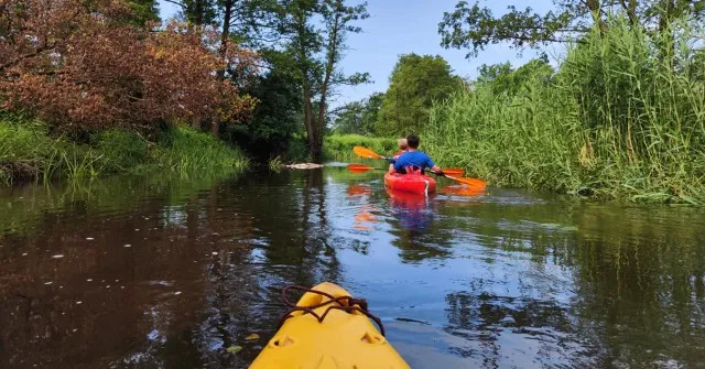 kajaki Warta Poznań, kajaki Wełna przyroda