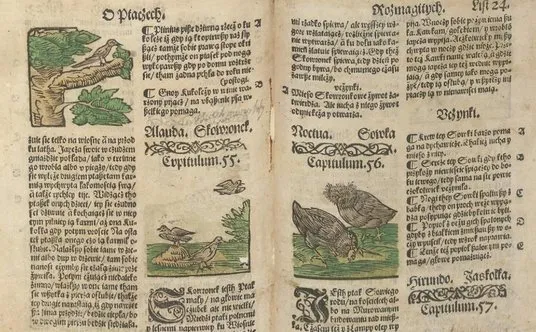 aktywne czytanie notatki na marginesach