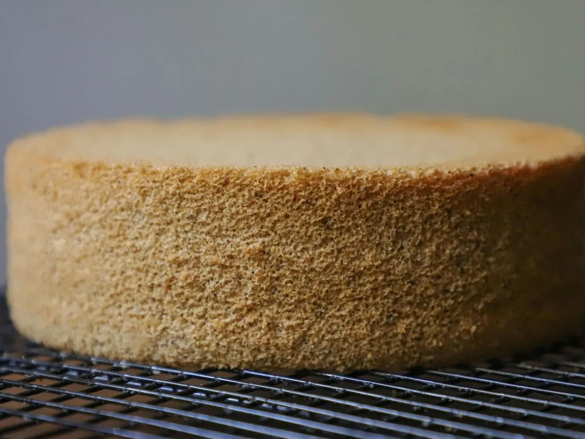 Kurczący się biszkopt problem