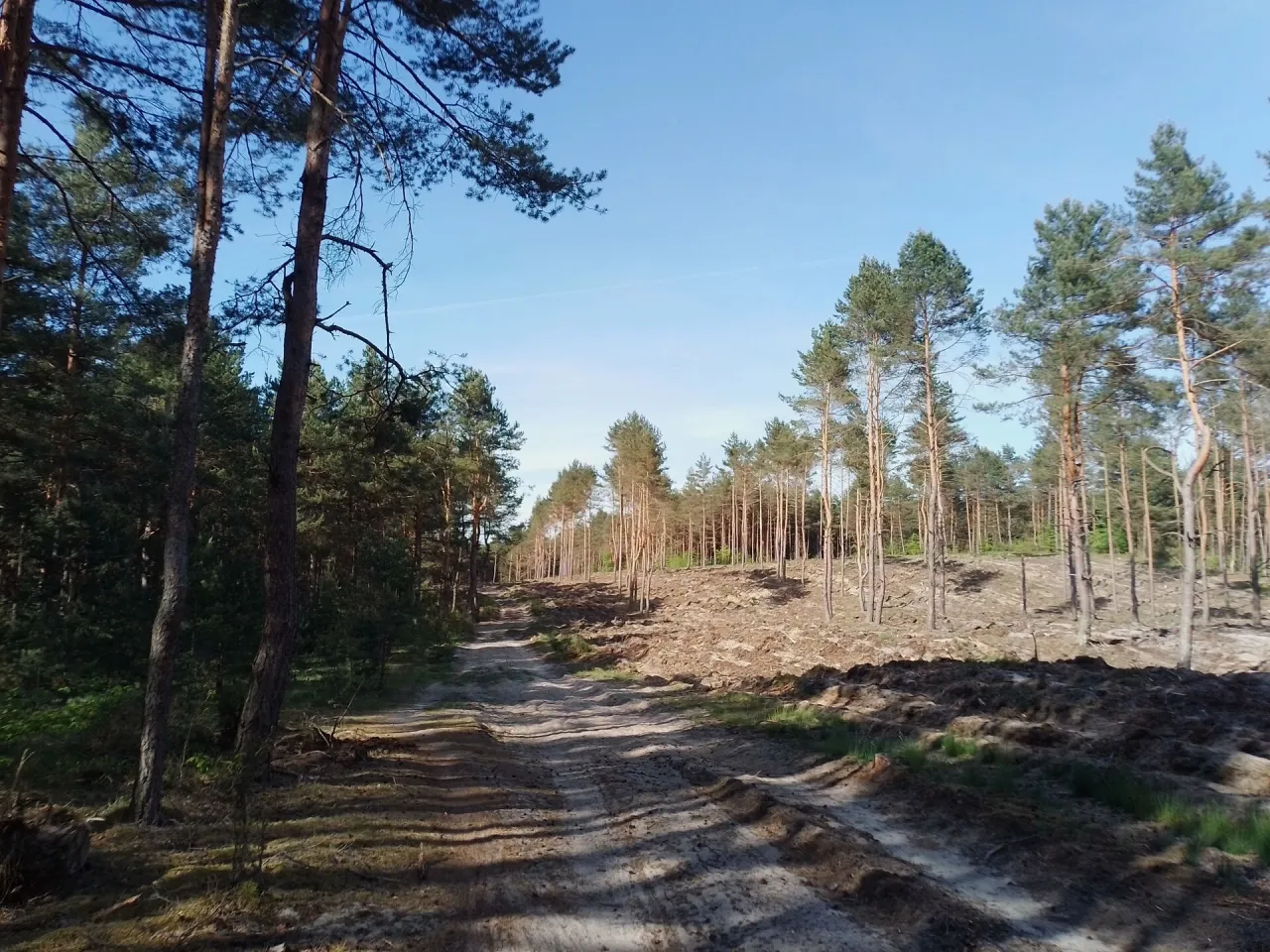 Parking Rezerwat Sokole Góry