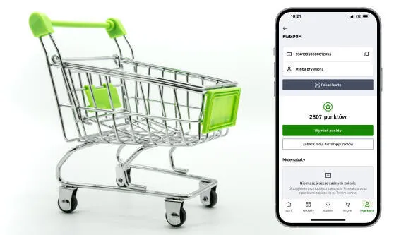 faktury za zakupy online Leroy Merlin