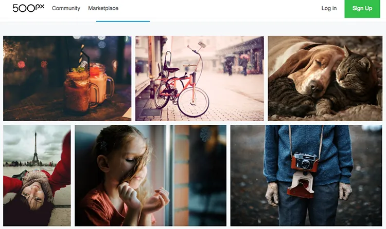 portfolio fotografa przykłady