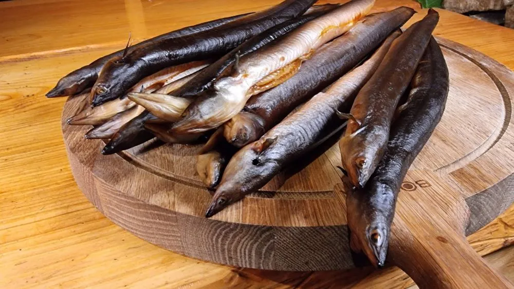 Węgorz po solankowaniu gotowy do wędzenia