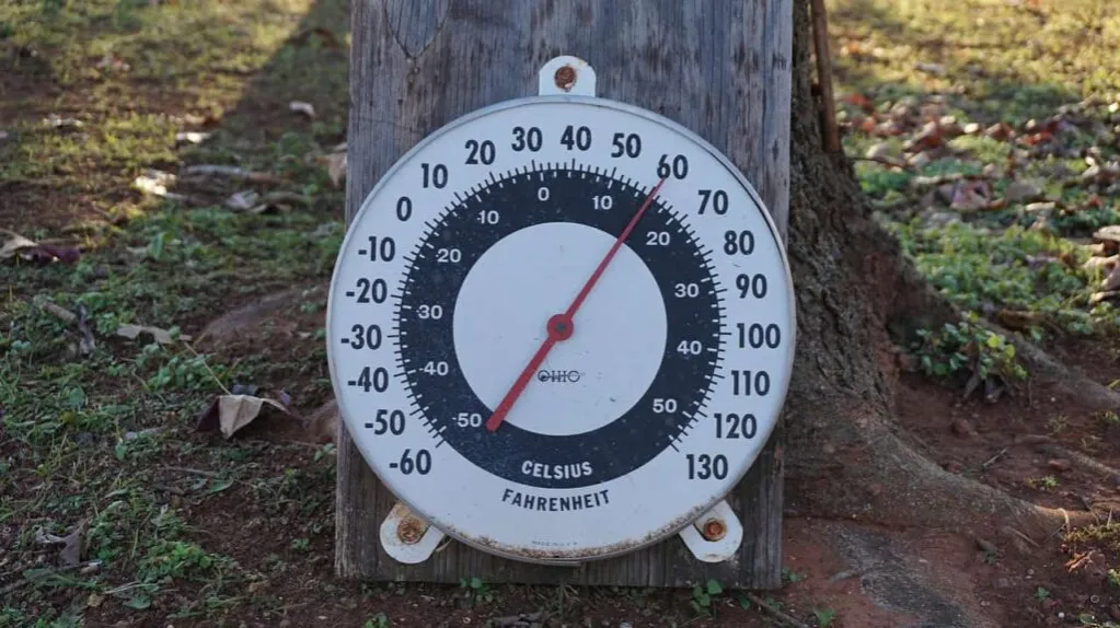 Zdjęcie 20 stopni Celsjusza na Fahrenheita: prosta konwersja temperatur