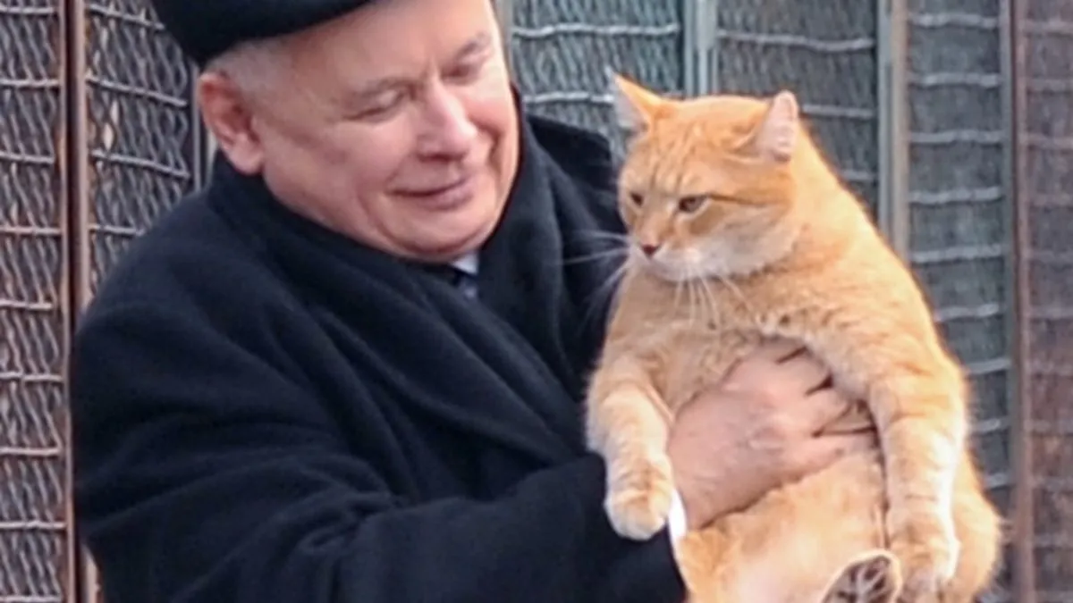 Jarosław Kaczyński z kotem