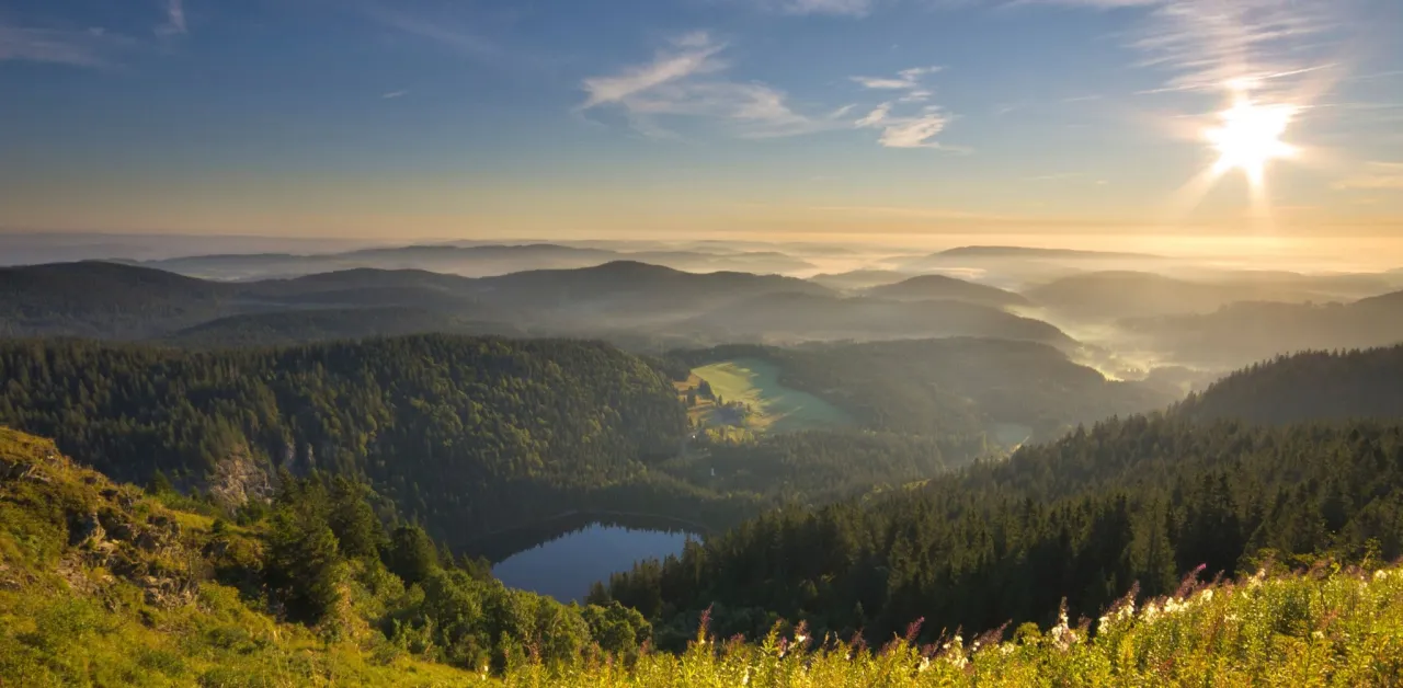 Feldberg Schwarzwald Gipfelblick