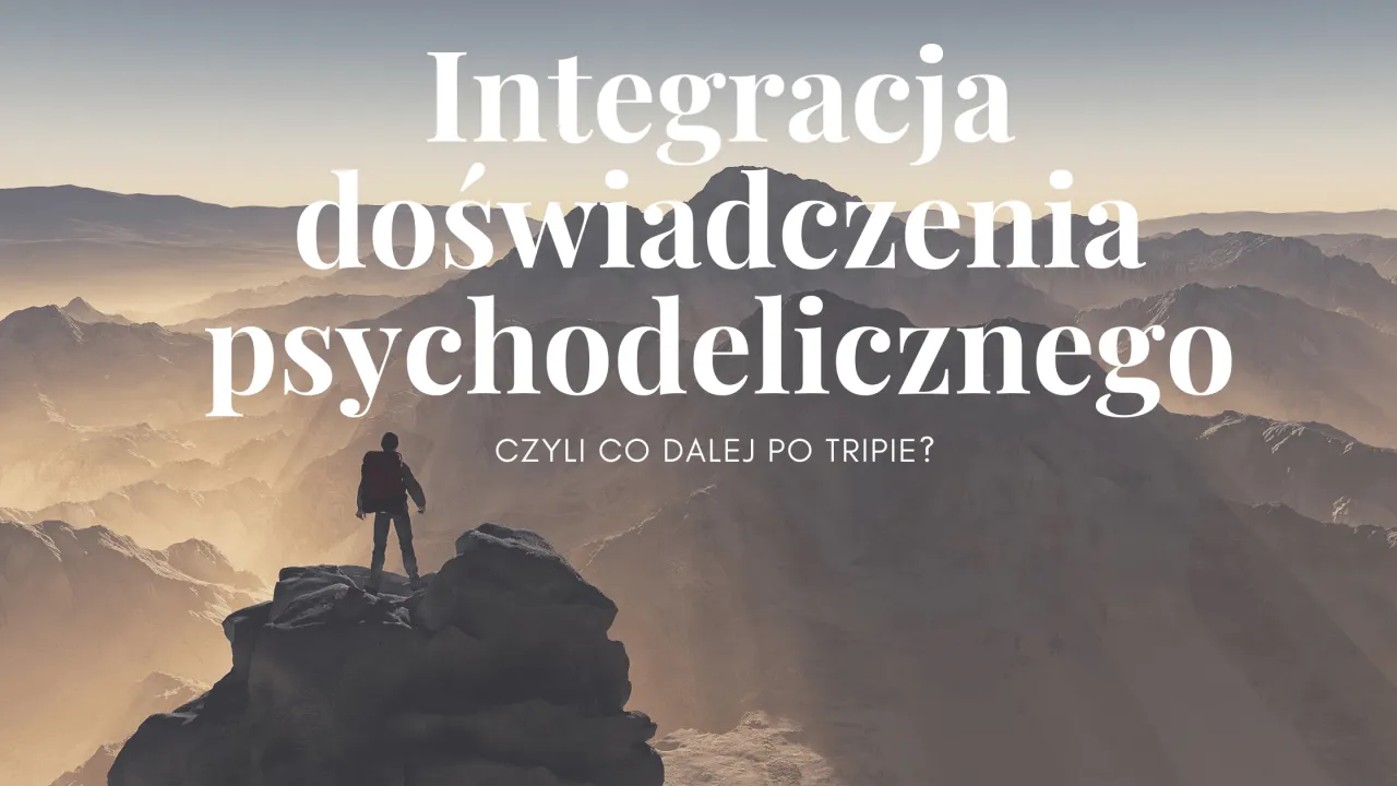 integracja doświadczeń psychodelicznych
