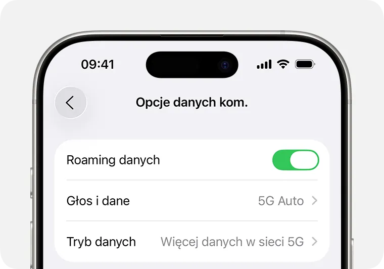 Ustawienia roamingu danych iOS iPhone