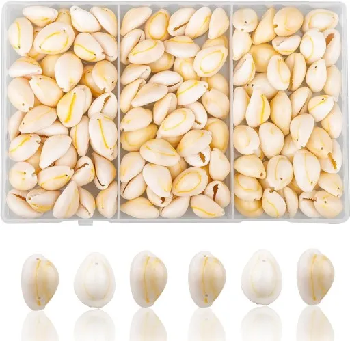 różne rodzaje muszelek do biżuterii kauri