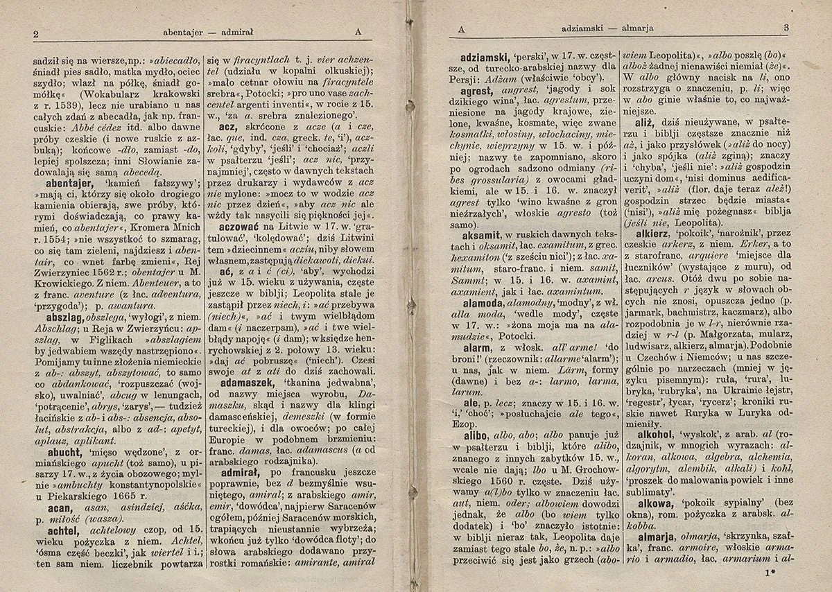 Słownik Br&uuml;cknera Polona strona