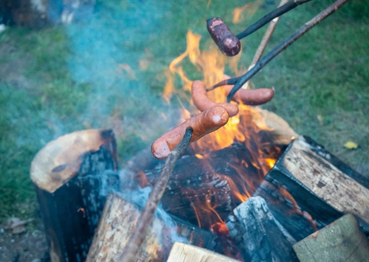 Zakaz palenia ogniska w lesie znak