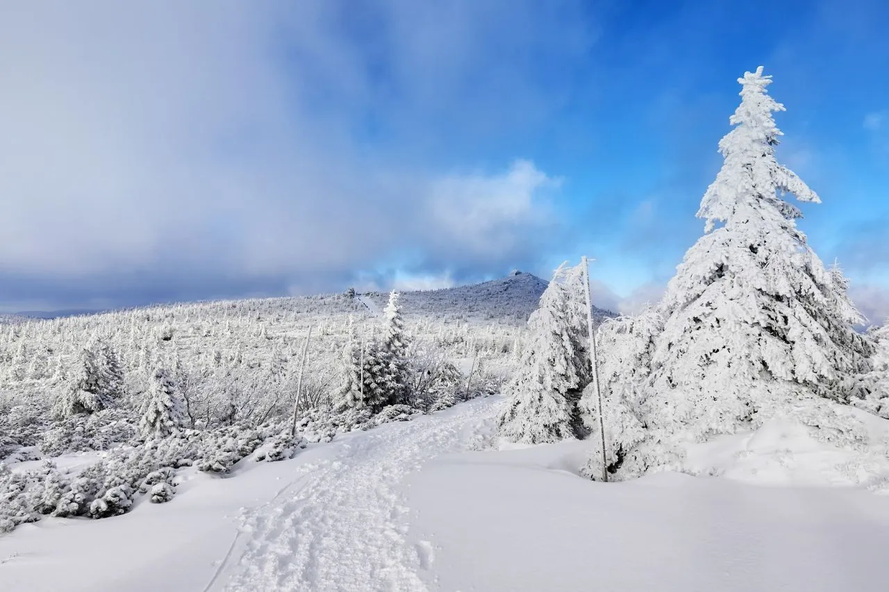 Zimowy szlak prowadzi przez zaśnieżone Karkonosze. W oddali widać g&oacute;rę Śnieżkę.