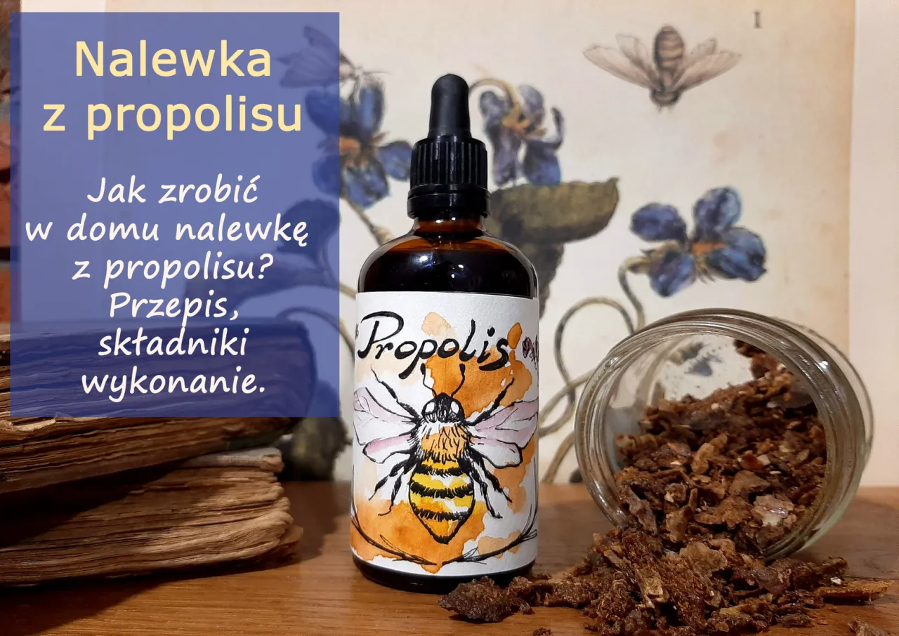 domowa nalewka propolisowa przepis