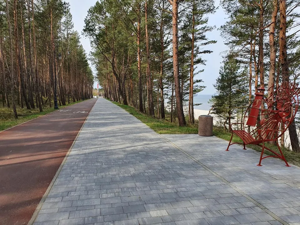 Mierzeja Wiślana nowoczesna ścieżka rowerowa las sosnowy