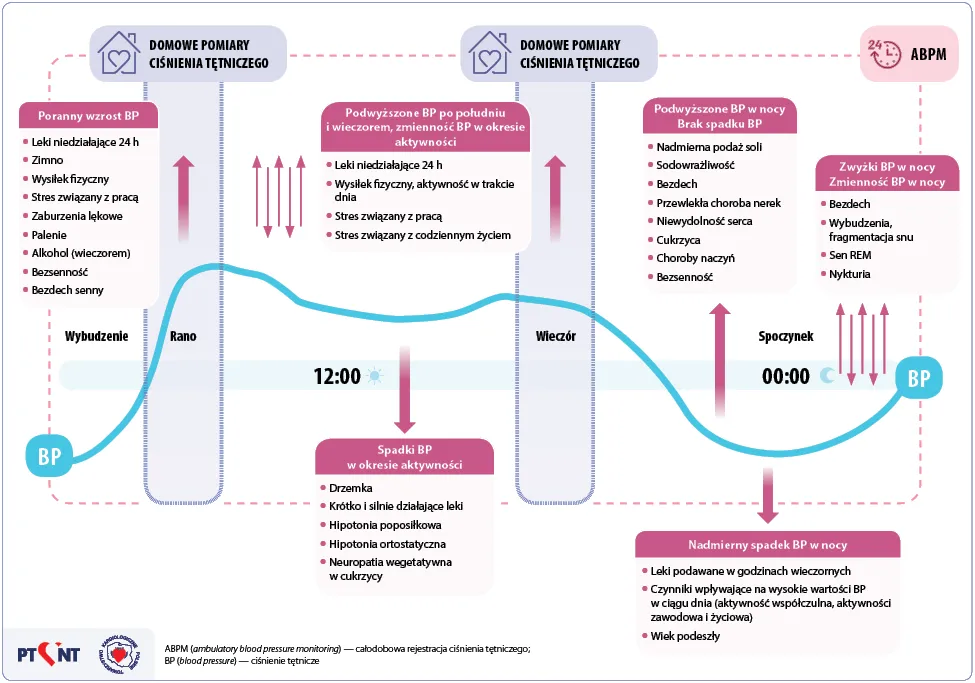 Mechanizm działania lek&oacute;w na nadciśnienie grafika