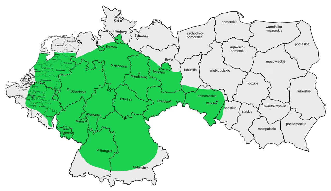 bus do holandii trasa mapa czynniki wpływające na cenę
