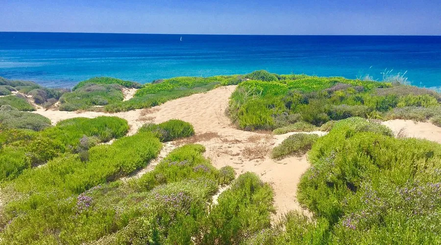 Campomarino Lido dune e spiaggia