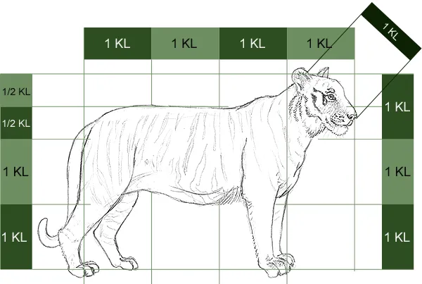 Tier zeichnen Grundformen Methode