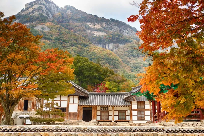 Jesienne krajobrazy w Korei Południowej
