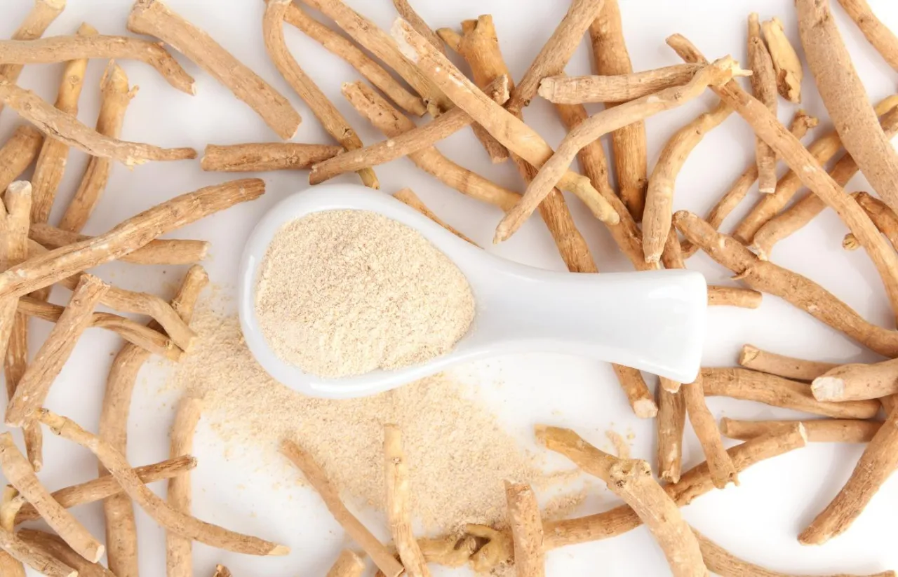 Ashwagandha korzeń i kapsułki