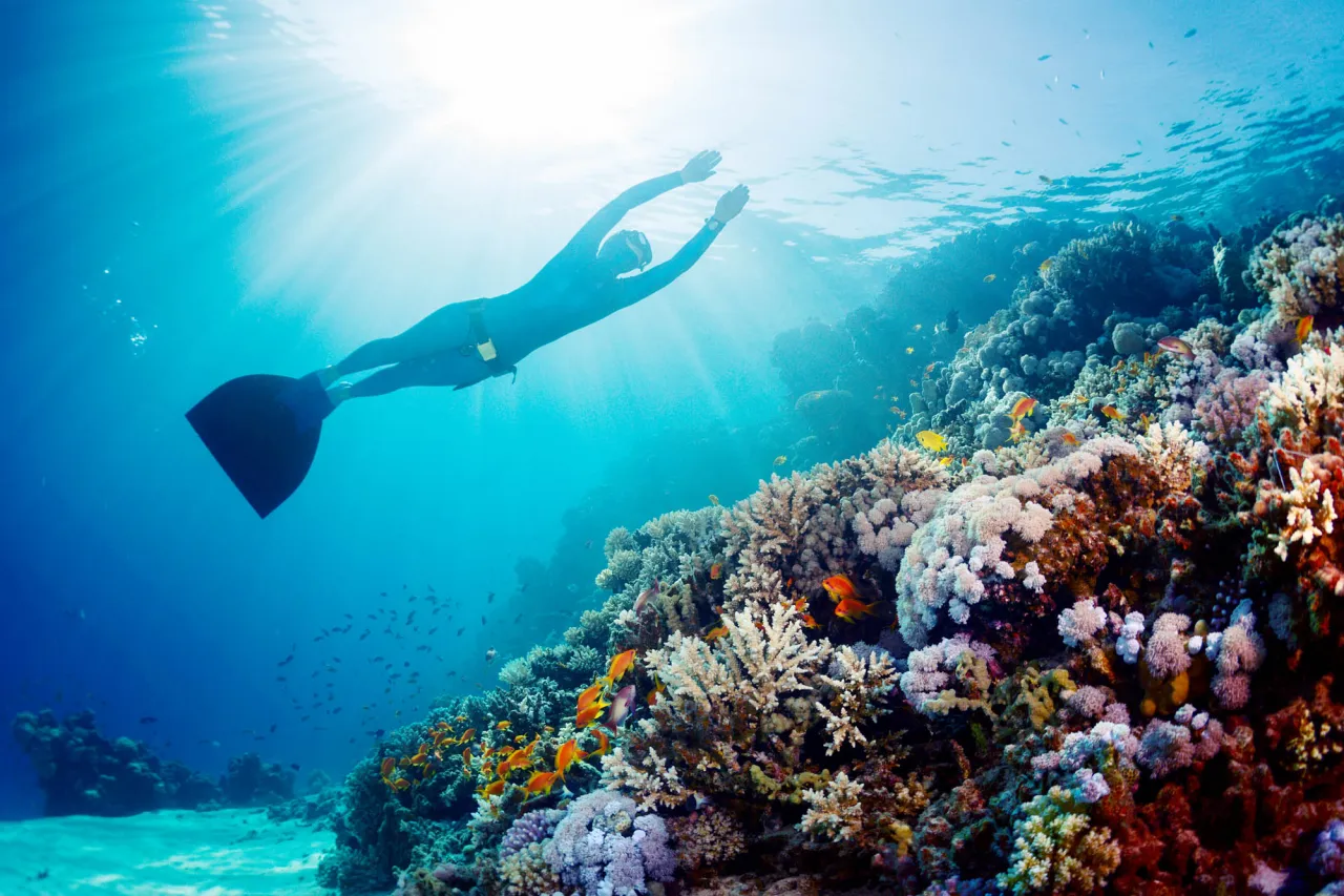 Rafa koralowa Egipt snurkowanie