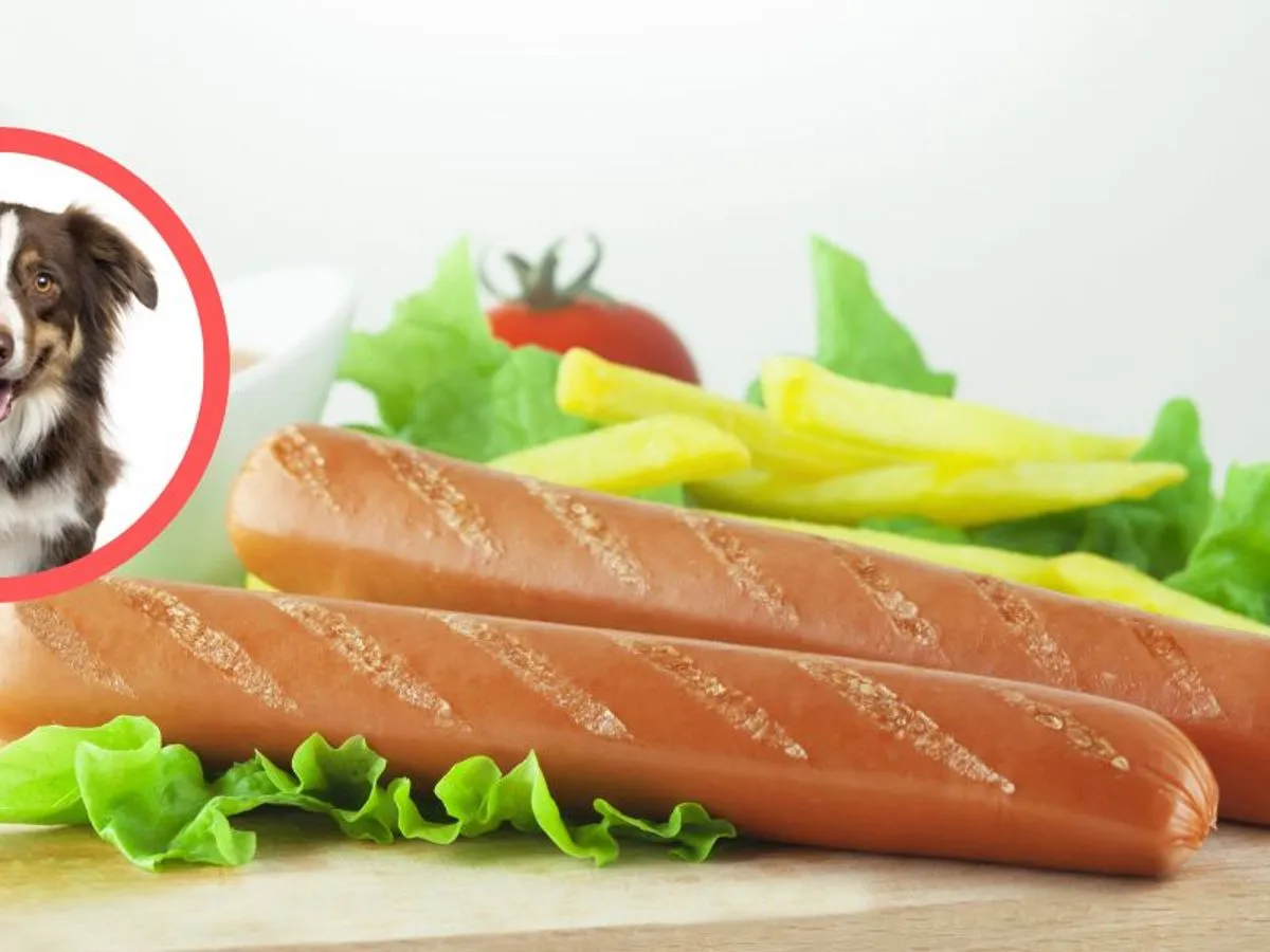 Etykieta par&oacute;wki skład niebezpieczny dla psa