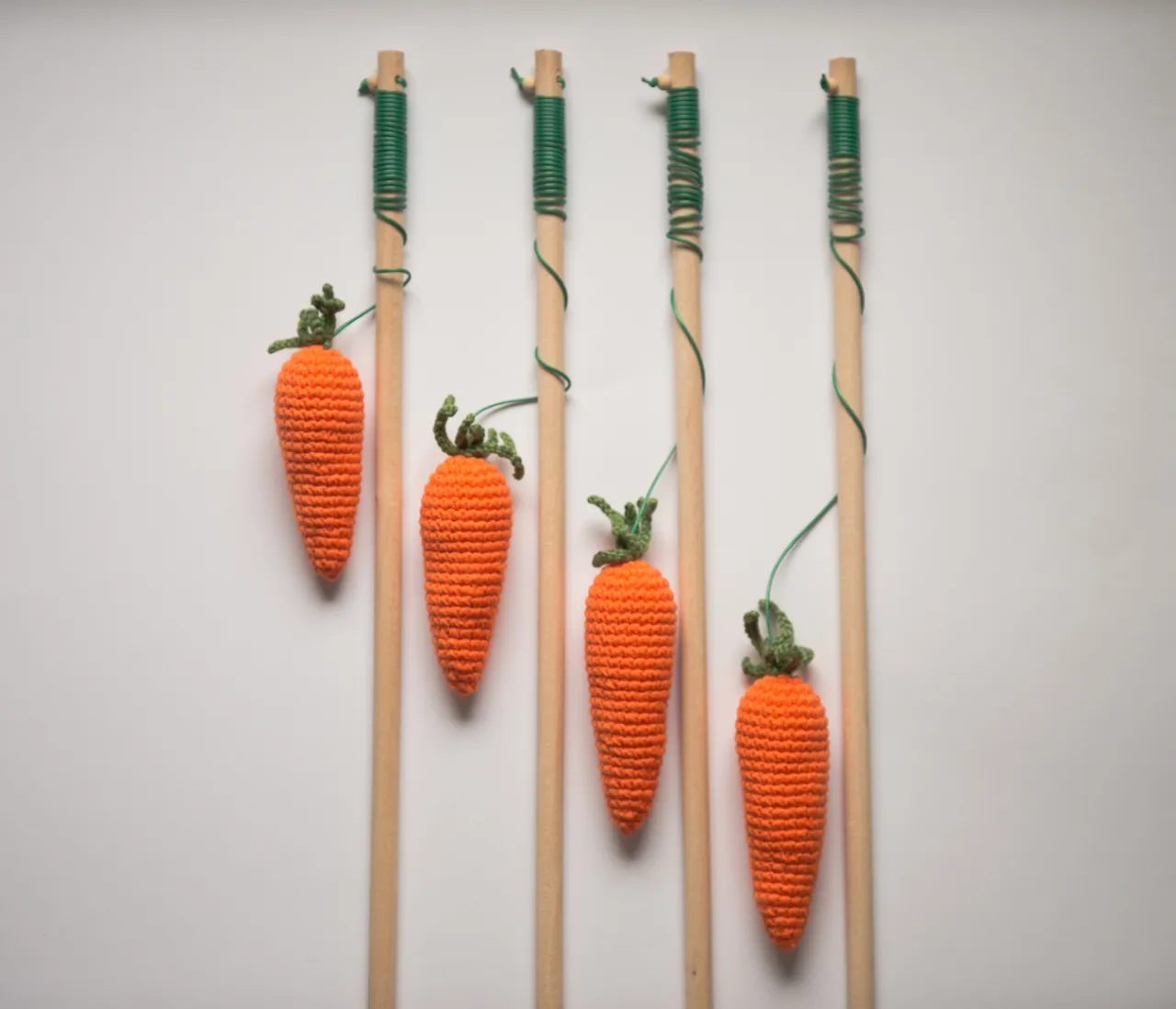 gotowana marchewka pokrojona dla kota