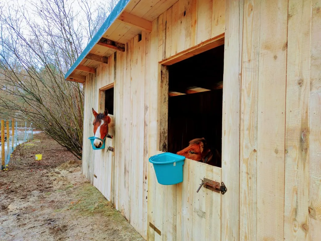 pensjonat dla koni Botoja stajnia boks