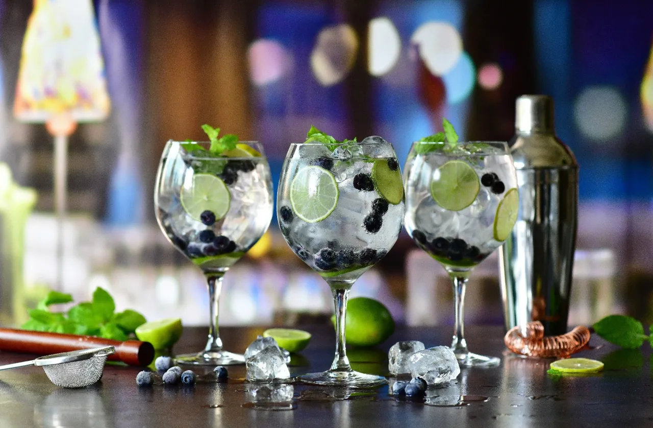 r&oacute;żne wariacje gin & tonic z r&oacute;żnymi dodatkami i tonikami