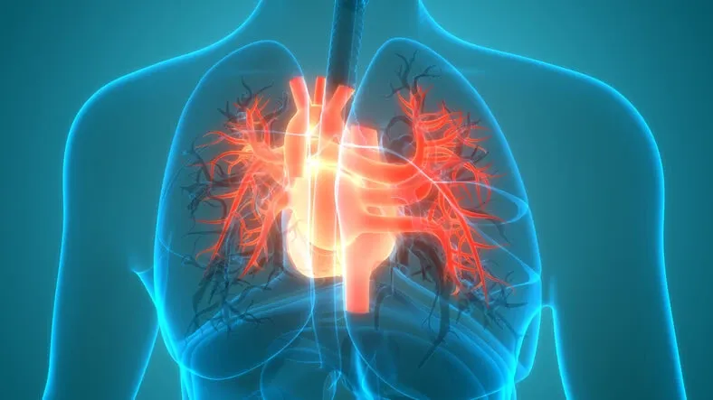 R&oacute;żne choroby układu krążenia