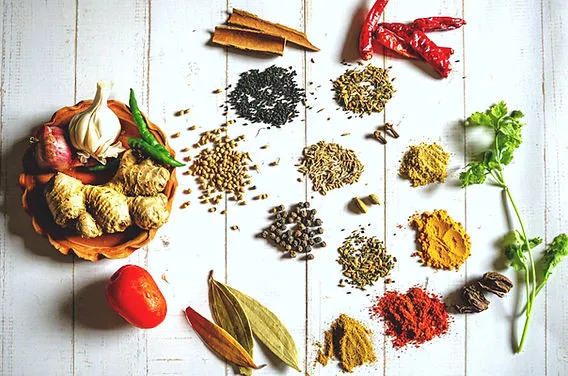 gewürze kräuter küche