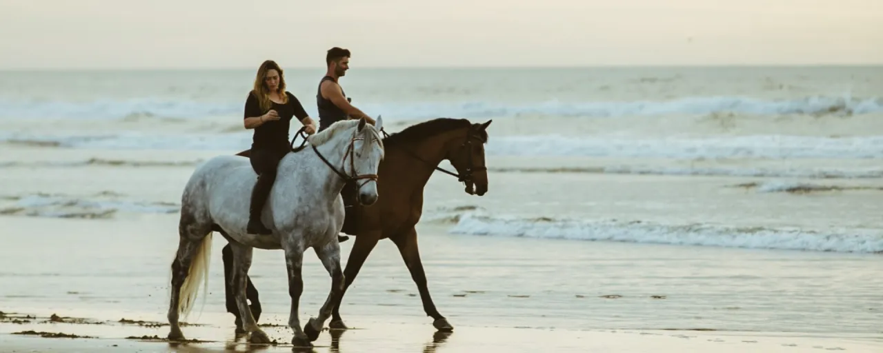 Jazda konna po plaży Łeba