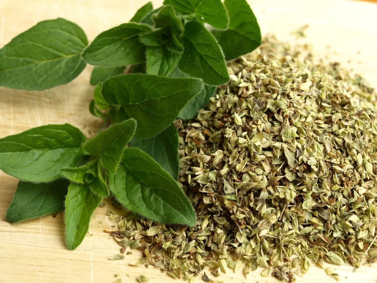 oregano herbata przeciwwskazania