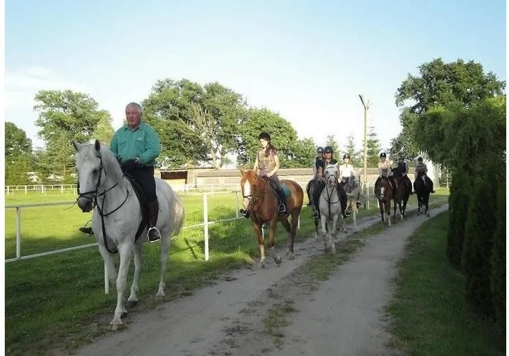 stadnina koni gorzów wielkopolski nauka jazdy