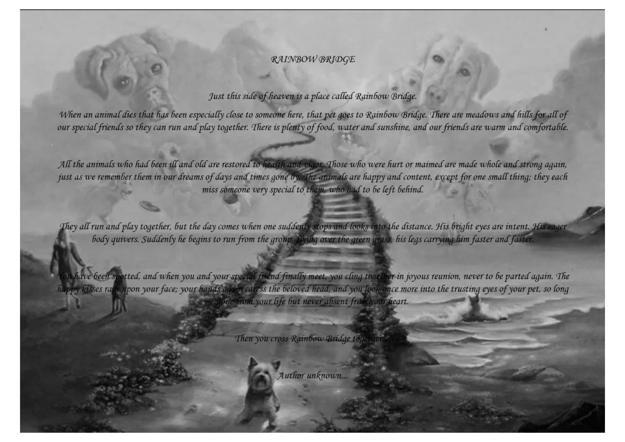 Wiersz o moim psie i tęczowym moście. Pies biegnie po zielonej trawie, by połączyć się z ukochanym przyjacielem.