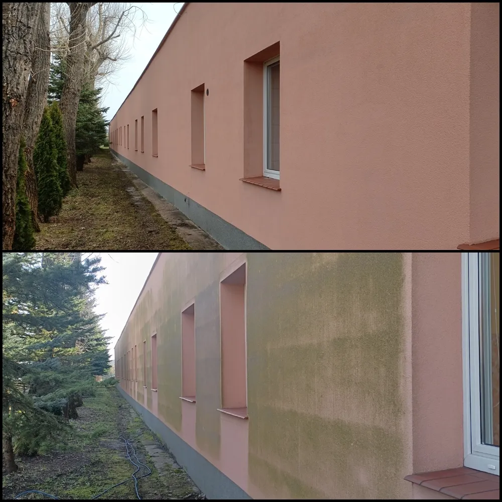 Zdjęcie Jak usunąć zielony nalot na elewacji - skuteczne metody i porady