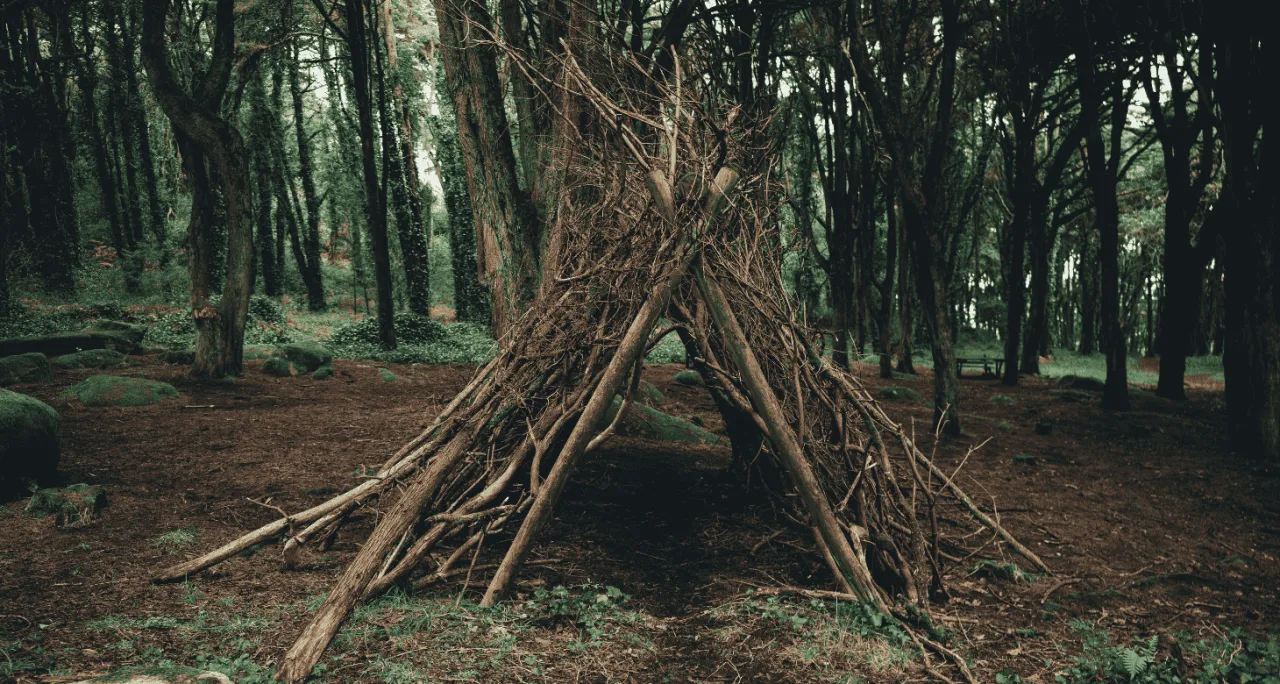 Zdjęcie Jak zbudować schronienie w lesie? Praktyczny poradnik survivalowy