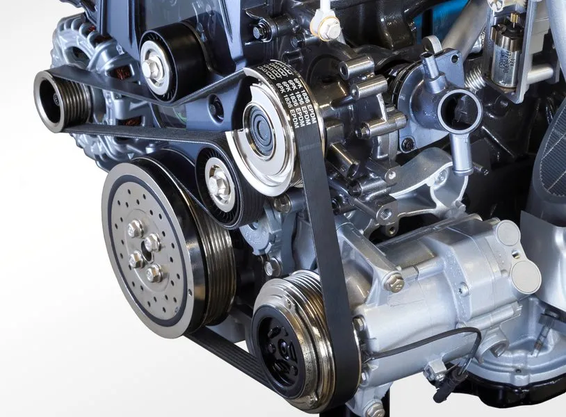 Pasek wielorowkowy silnika samochodowego