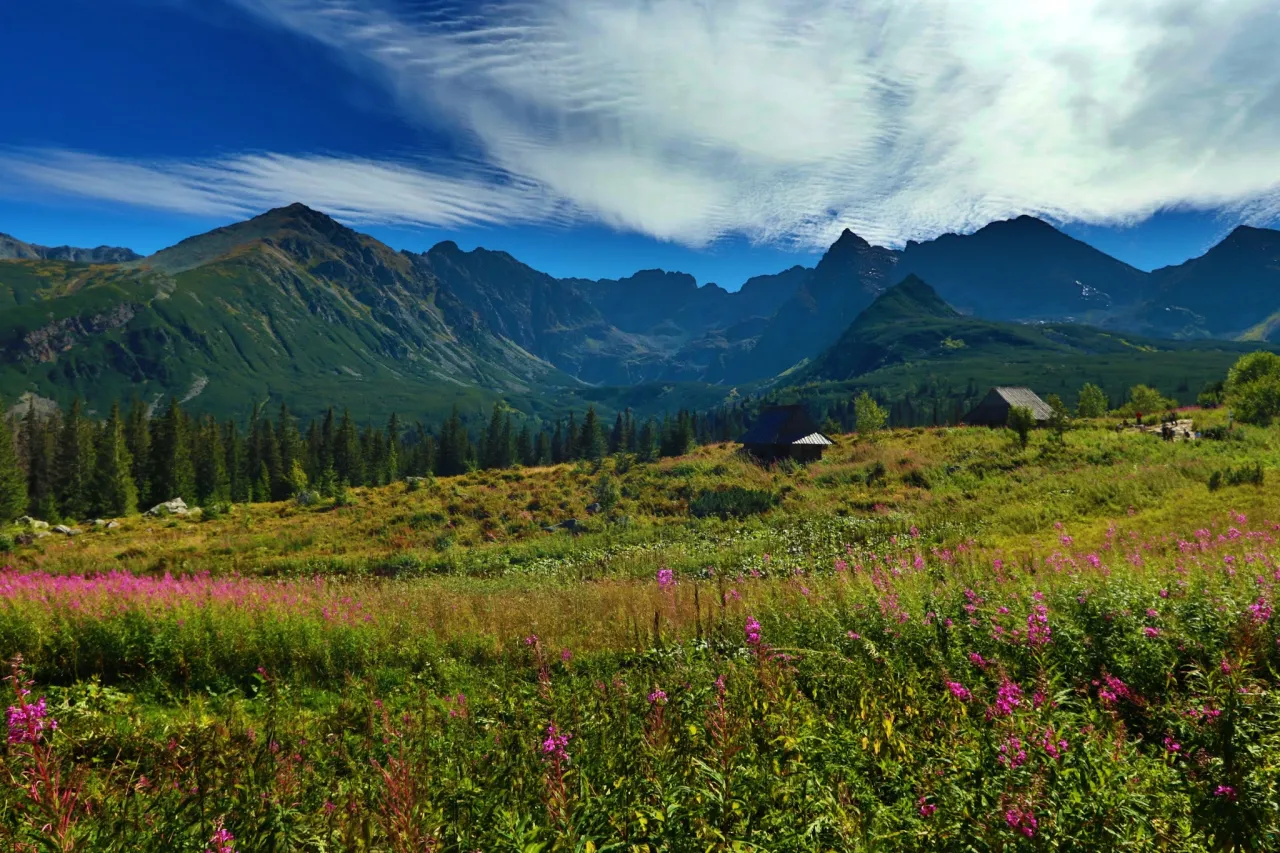 Tatry jesienią widok z g&oacute;ry