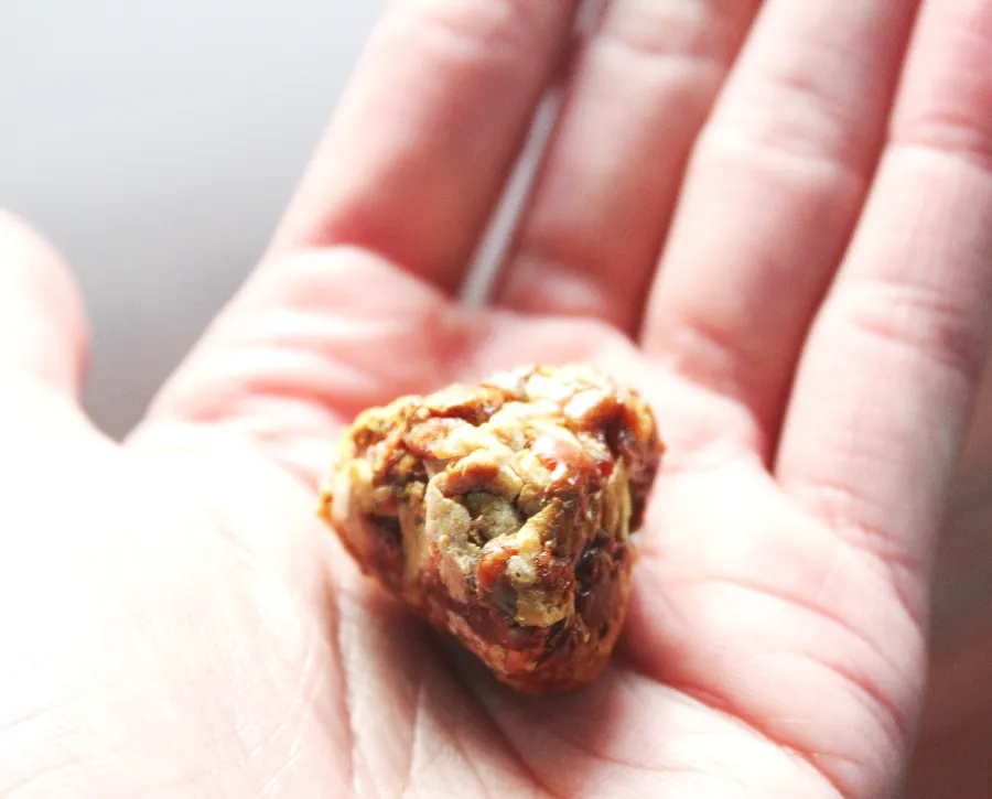 próba uczuleniowa propolis