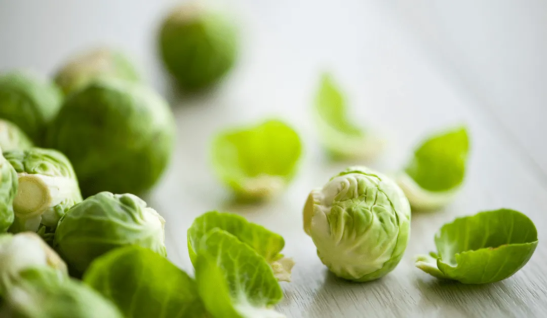 świeża brukselka jak wybrać
