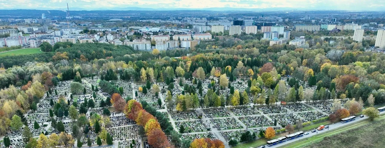 Cmentarz Batowice widok og&oacute;lny