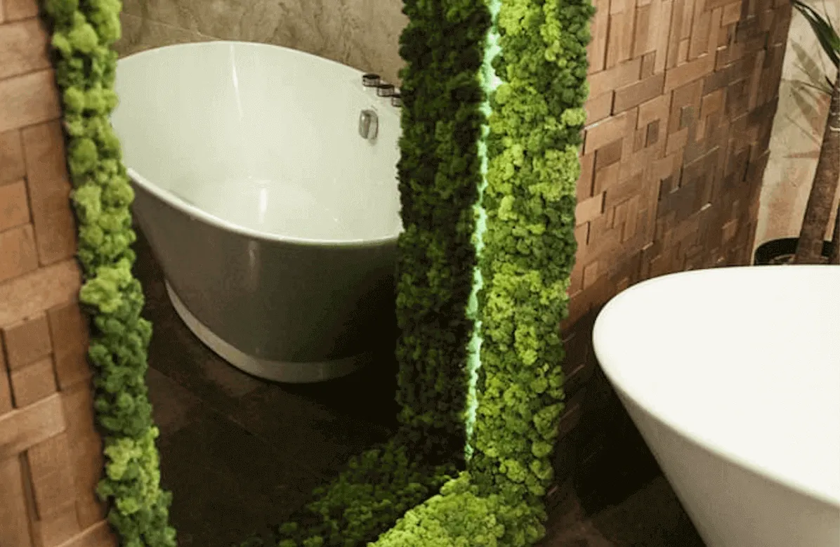 mech stabilizowany w łazience lub innym zacienionym miejscu