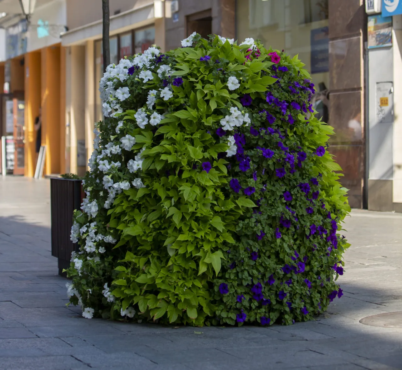 r&oacute;żne typy kwietnik&oacute;w kaskadowych