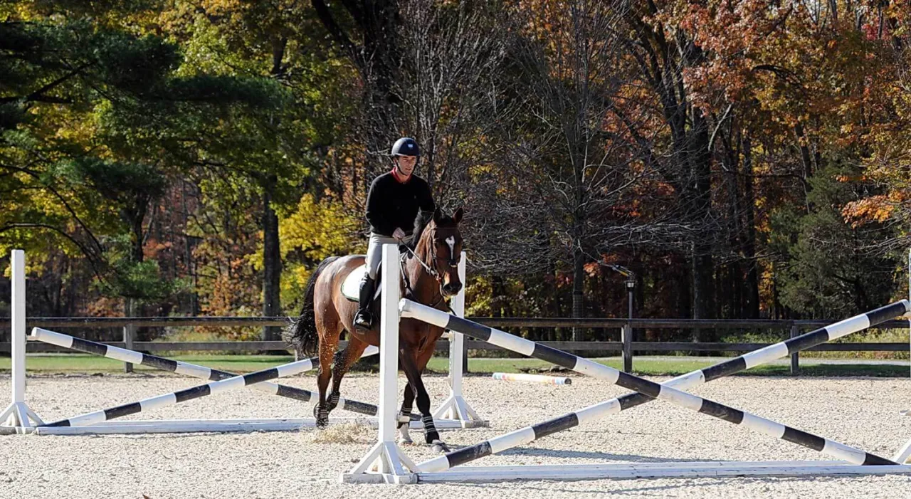 Trening skoków przez przeszkody
