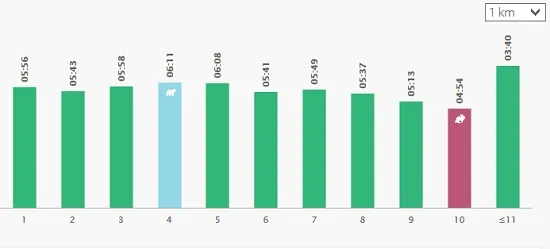 bieganie na czczo spalanie tłuszczu wykres