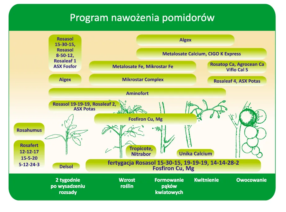 kalendarz nawożenia pomidorów naturalnymi nawozami