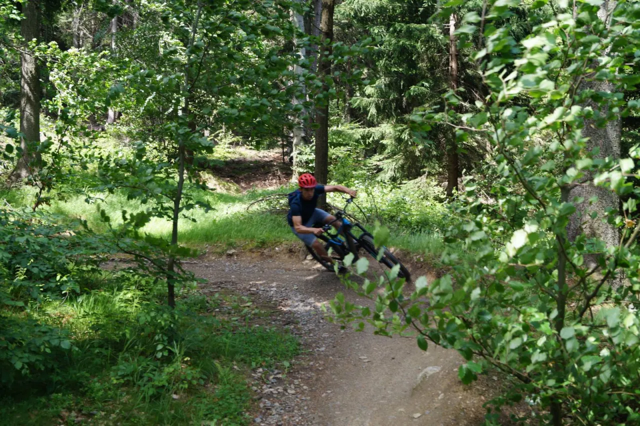 Single Track Zajęcznik Świeradów-Zdrój rower